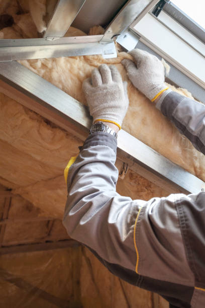 Best Commercial Insulation in Dumas, TX