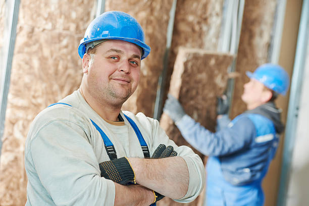 Best Insulation Maintenance and Repair in Dumas, TX